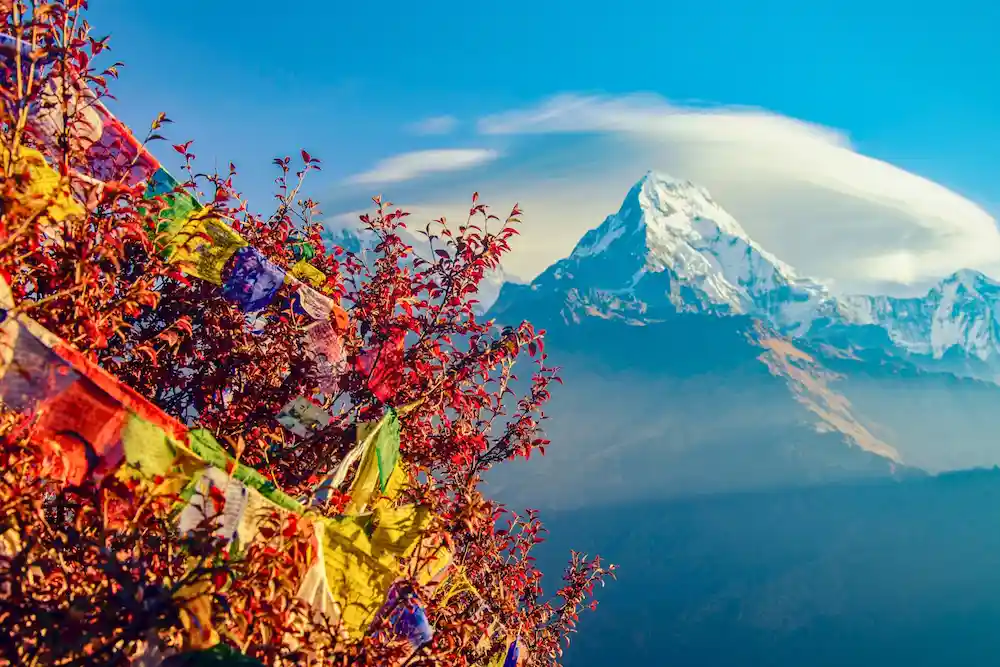 mountain-spring-season
