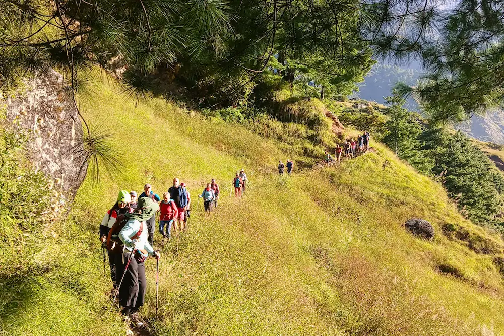 trekking-in-mountain-greenery-scene